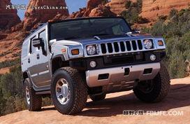 国产悍马霸气视频播放器,震撼视听体验，尽享速度与激情